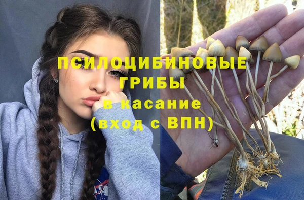 mdpv Алзамай