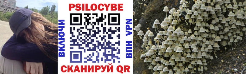 что такое наркотик Байкальск Псилоцибиновые грибы Magic Shrooms